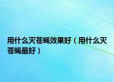 用什么滅蒼蠅效果好（用什么滅蒼蠅最好）
