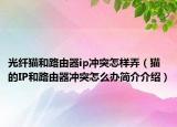 光纖貓和路由器ip沖突怎樣弄（貓的IP和路由器沖突怎么辦簡(jiǎn)介介紹）