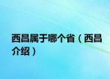 西昌屬于哪個(gè)?。ㄎ鞑榻B）