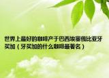 世界上最好的咖啡產(chǎn)于巴西埃塞俄比亞牙買加（牙買加的什么咖啡最著名）
