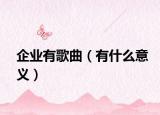 企業(yè)有歌曲（有什么意義）