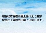 迎客松屹立在山崖上像什么（迎客松是在玉屏峰的山腰上還是山頂上）