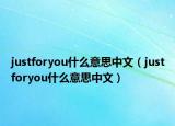 justforyou什么意思中文（justforyou什么意思中文）