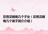 貝克漢姆有幾個子女（貝克漢姆有幾個孩子簡介介紹）