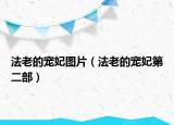 法老的寵妃圖片（法老的寵妃第二部）
