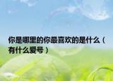 你是哪里的你最喜歡的是什么（有什么愛(ài)號(hào)）