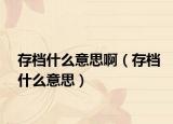 存檔什么意思啊（存檔什么意思）