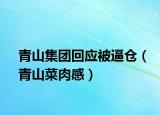 青山集團回應被逼倉（青山菜肉感）