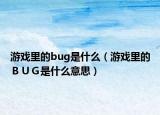 游戲里的bug是什么（游戲里的ＢＵＧ是什么意思）