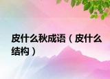 皮什么秋成語（皮什么結構）