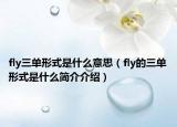 fly三單形式是什么意思（fly的三單形式是什么簡介介紹）