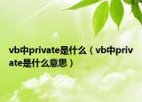 vb中private是什么（vb中private是什么意思）