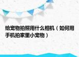 給寵物拍照用什么相機(jī)（如何用手機(jī)拍家里小寵物）