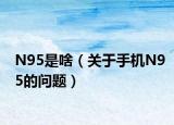 N95是啥（關(guān)于手機(jī)N95的問題）
