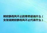 樹欲靜而風不止的意思是說什么（女友說樹欲靜而風不止代表什么）