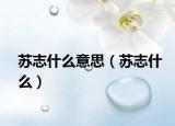 蘇志什么意思（蘇志什么）