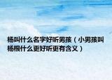 楊叫什么名字好聽男孩（小男孩叫楊根什么更好聽更有含義）