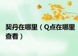 契丹在哪里（Q點在哪里查看）
