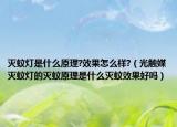 滅蚊燈是什么原理?效果怎么樣?（光觸媒滅蚊燈的滅蚊原理是什么滅蚊效果好嗎）