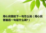 用心良苦的下一句怎么說（用心良苦最后一句是什么調(diào)?）