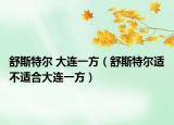 舒斯特爾 大連一方（舒斯特爾適不適合大連一方）