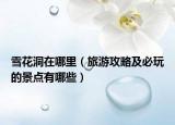 雪花洞在哪里（旅游攻略及必玩的景點有哪些）