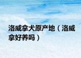 洛威拿犬原產地（洛威拿好養(yǎng)嗎）