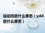 運動擋是什么意思（ydd是什么意思）