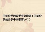 不能分手的分手中文歌詞（不能分手的分手中文歌詞\
