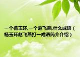 一個楊玉環(huán),一個趙飛燕,什么成語（楊玉環(huán)趙飛燕打一成語簡介介紹）