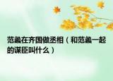 范蠡在齊國做丞相（和范蠡一起的謀臣叫什么）