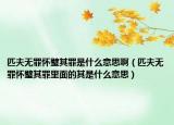 匹夫無(wú)罪懷璧其罪是什么意思?。ㄆシ驘o(wú)罪懷璧其罪里面的其是什么意思）