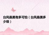 臺風(fēng)桑美有多可怕（臺風(fēng)桑美多少級）