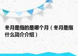 冬月是指的是哪個(gè)月（冬月是指什么簡介介紹）