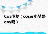 Cos小夢（coser小夢是gay嗎）