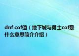 dnf cof值（地下城與勇士cof是什么意思簡介介紹）