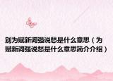 別為賦新詞強說愁是什么意思（為賦新詞強說愁是什么意思簡介介紹）