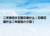 二年級(jí)語文石榴花像什么（石榴花像什么二年級(jí)簡(jiǎn)介介紹）