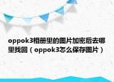 oppok3相冊(cè)里的圖片加密后去哪里找回（oppok3怎么保存圖片）