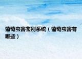 葡萄蟲害鑒別系統(tǒng)（葡萄蟲害有哪些）