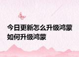 今日更新怎么升級(jí)鴻蒙 如何升級(jí)鴻蒙