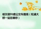 哈爾濱95路公交車路線（松浦大橋一站在哪停）