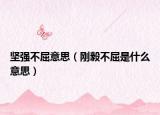 堅強(qiáng)不屈意思（剛毅不屈是什么意思）