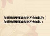 在武漢哪里買寵物狗不會被坑的（在武漢哪里買寵物狗不會被坑）