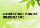 潔凈煤技術(shù)的概念（潔凈煤技術(shù)包括哪些簡(jiǎn)介介紹）