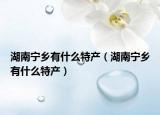湖南寧鄉(xiāng)有什么特產(chǎn)（湖南寧鄉(xiāng)有什么特產(chǎn)）