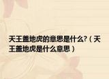 天王蓋地虎的意思是什么?（天王蓋地虎是什么意思）