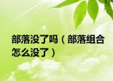 部落沒了嗎（部落組合怎么沒了）