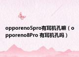 opporeno5pro有耳機(jī)孔嘛（opporeno8Pro 有耳機(jī)孔嗎）