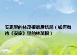 安家里的林茂根最后結(jié)局（如何看待《安家》里的林茂根）